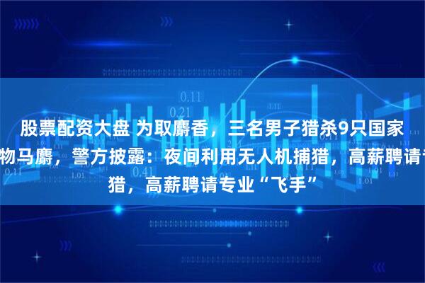 股票配资大盘 为取麝香，三名男子猎杀9只国家一级保护动物马麝，警方披露：夜间利用无人机捕猎，高薪聘请专业“飞手”